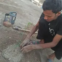 Green Seekers Activity